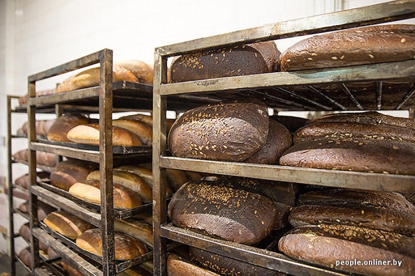 "Fabulous" photo report: how your favorite Soviet cakes are made "Fabulous" photo report: how your favorite Soviet cakes are made