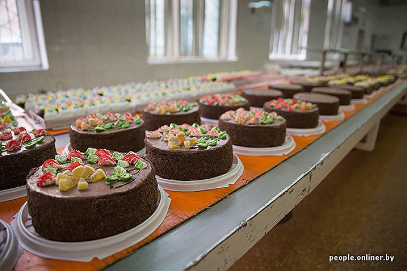 "Fabulous" photo report: how your favorite Soviet cakes are made "Fabulous" photo report: how your favorite Soviet cakes are made