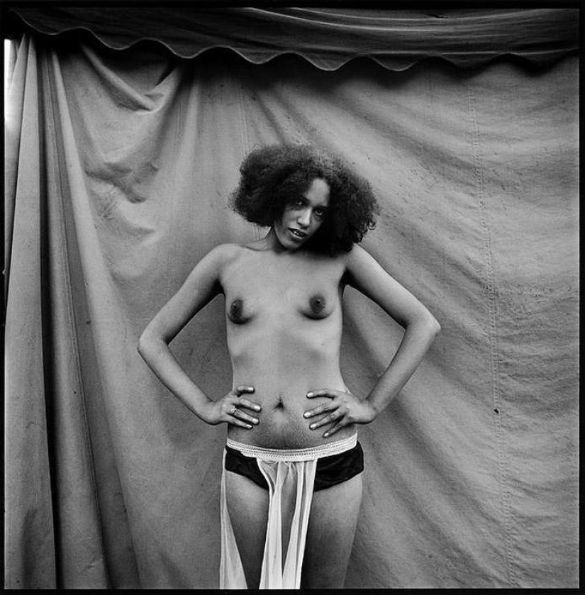 Fairground Strippers