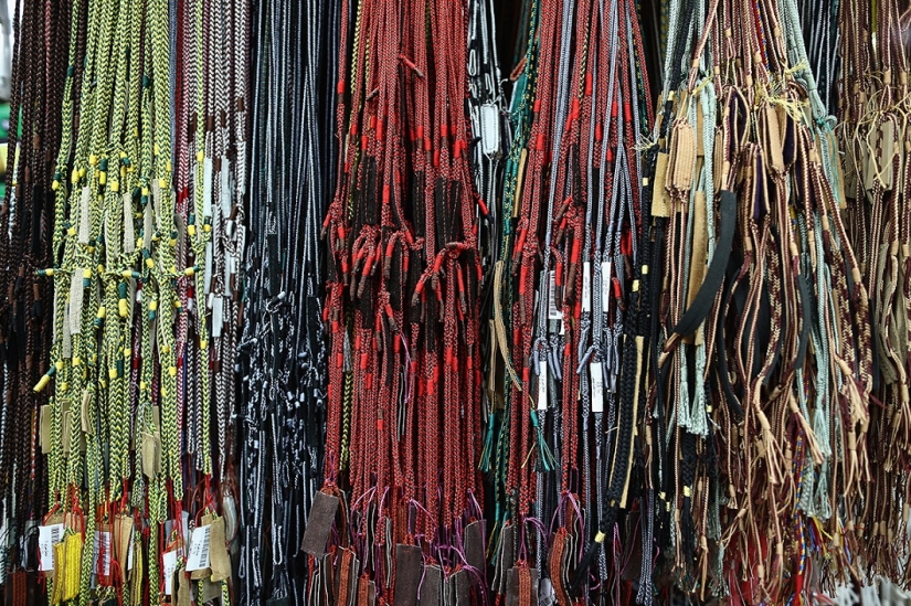 Falconry in the United Arab Emirates