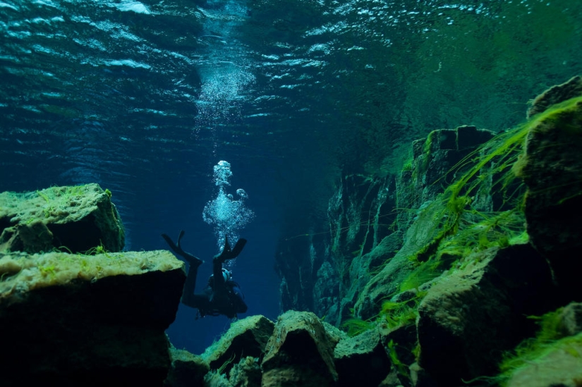 Falla islandesa Silfra - entre dos partes del mundo Falla islandesa Silfra - entre dos partes del mundo