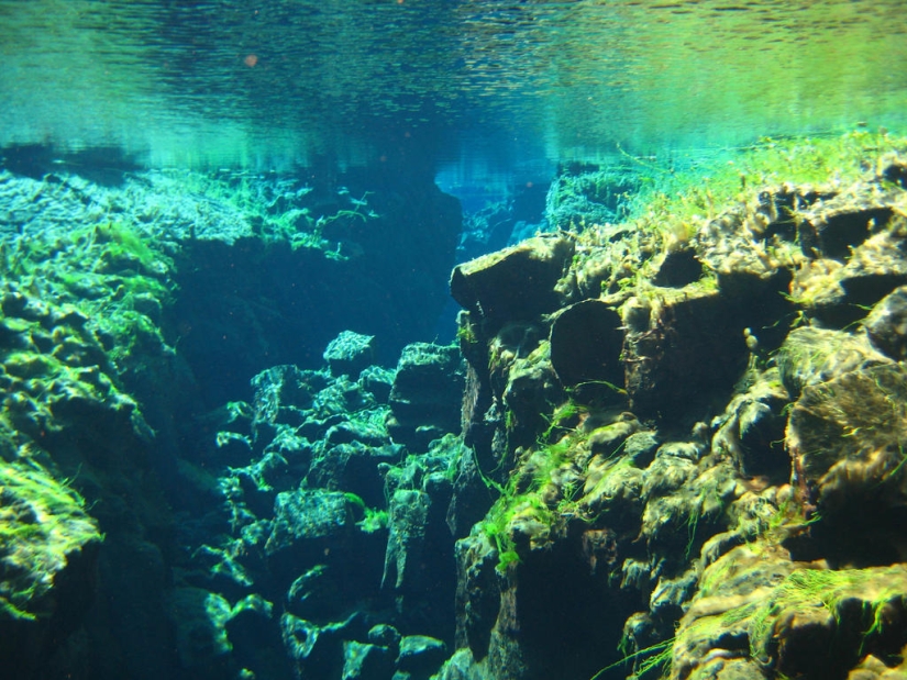 Falla islandesa Silfra - entre dos partes del mundo Falla islandesa Silfra - entre dos partes del mundo