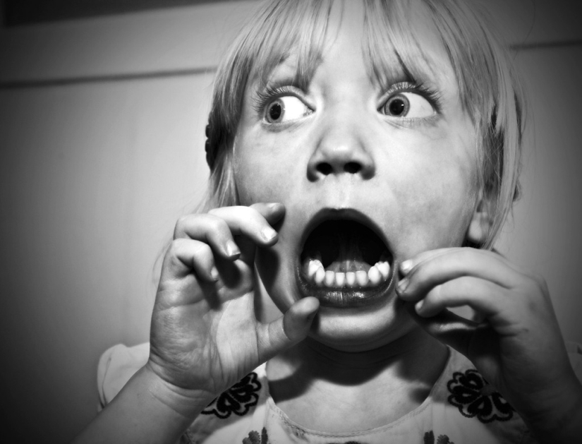 familia del fotógrafo familia del fotógrafo