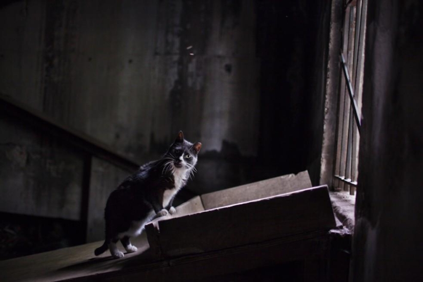 Family relationships of homeless people from the New York subway