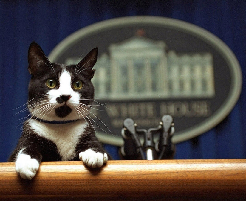 Famous politicians and their four-legged pets