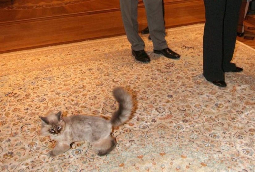 Famous politicians and their four-legged pets