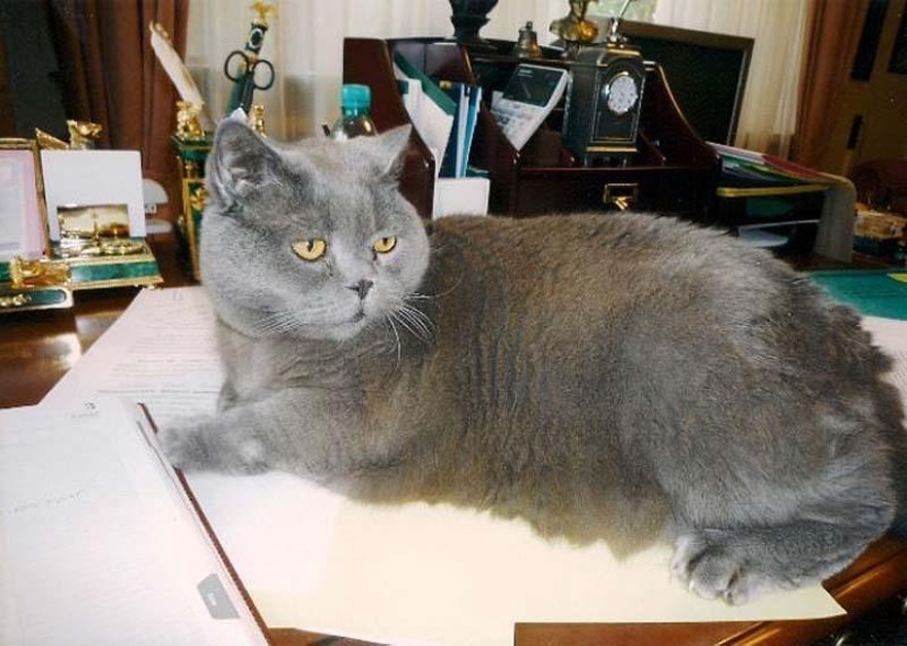 Famous politicians and their four-legged pets