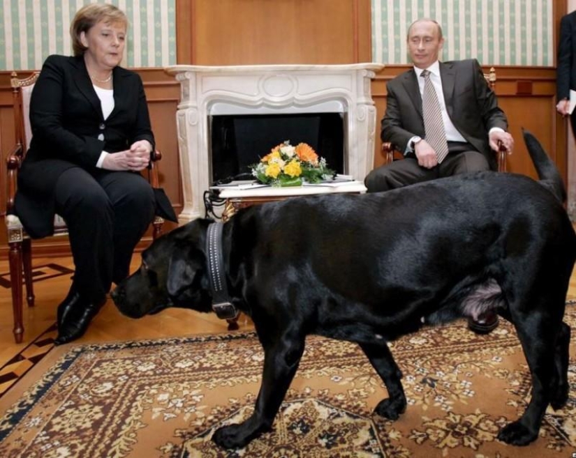 Famous politicians and their four-legged pets