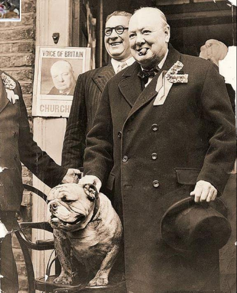 Famous politicians and their four-legged pets