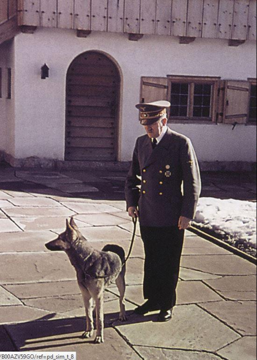 Famous politicians and their four-legged pets