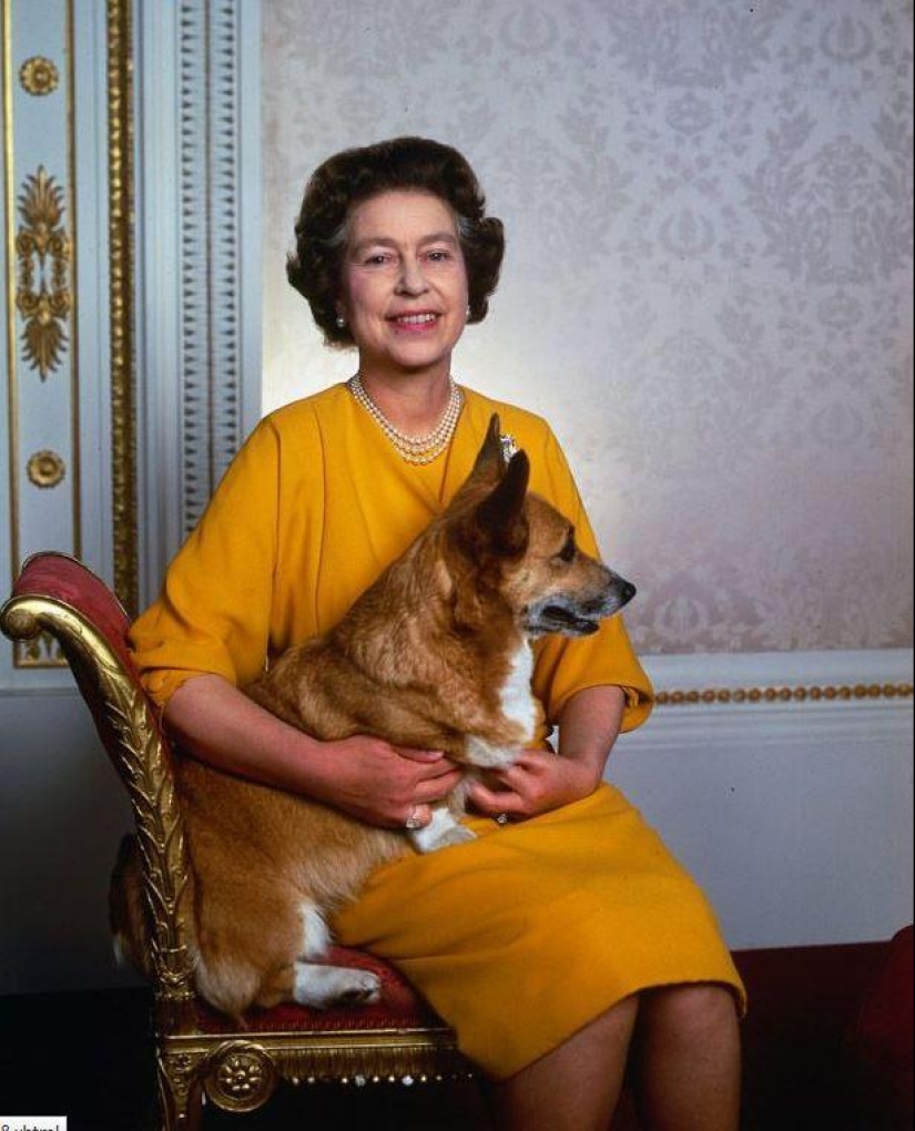 Famous politicians and their four-legged pets