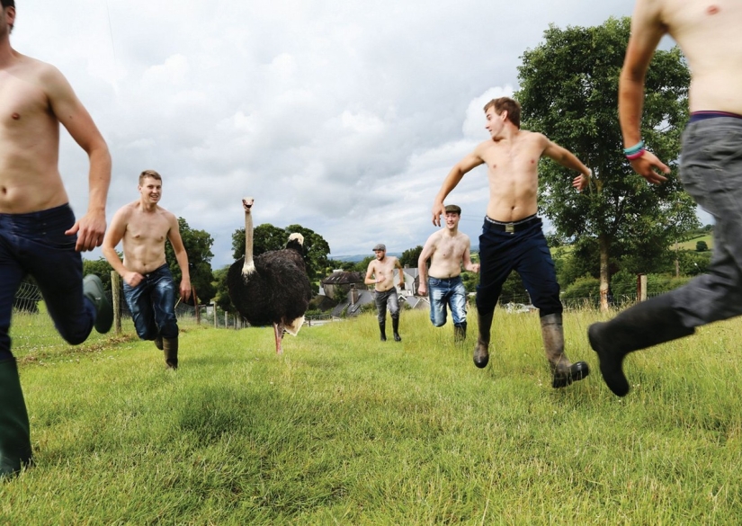 Farmers undress for the calendar