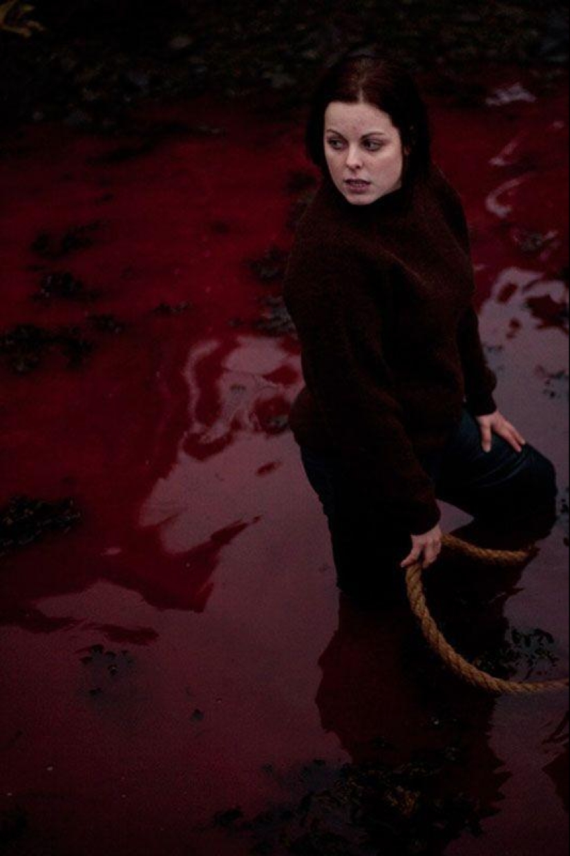 Faroe Islander tries to justify cruelty of whale killing Faroe Islander tries to justify cruelty of whale killing