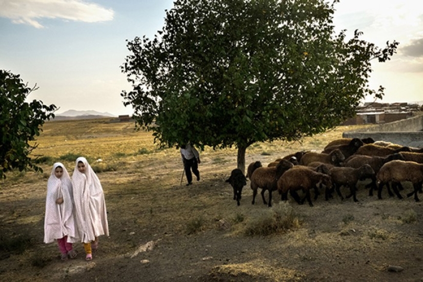 Fascinating portraits of twins Fascinating portraits of twins