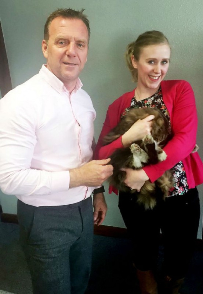 Fat and happy cat, missing more than a year ago, was found at the pet food factory