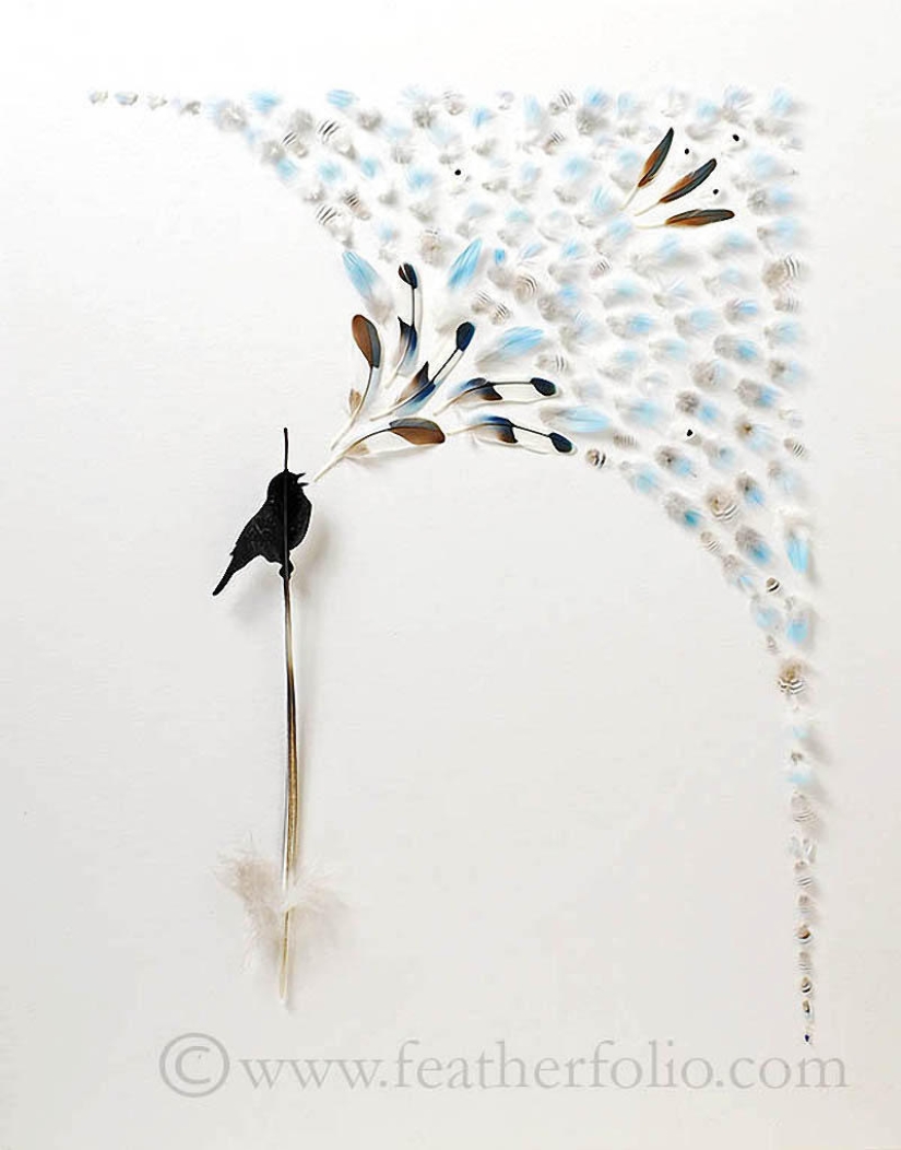 Feathers as art Feathers as art