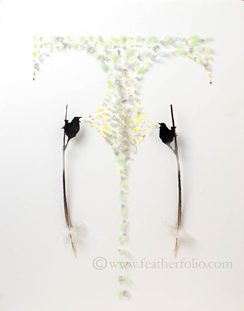 Feathers as art Feathers as art