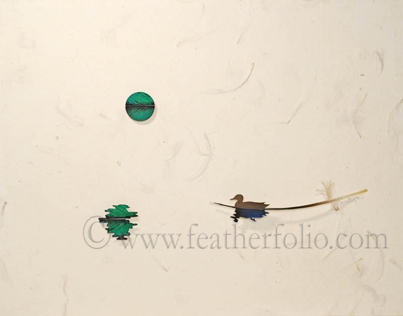 Feathers as art Feathers as art