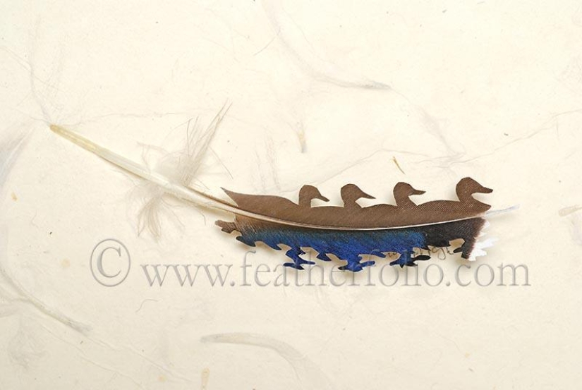 Feathers as art Feathers as art