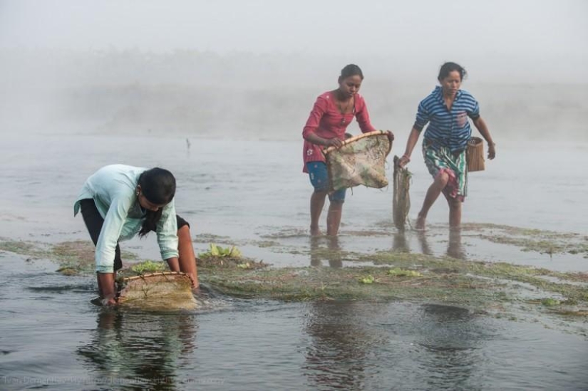 Features of national fishing Features of national fishing