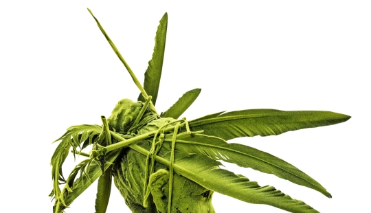 Figuras cubiertas de musgo deambulan por bosques y calles de la ciudad en las esculturas de cerámica flocada de Kim Simonsson