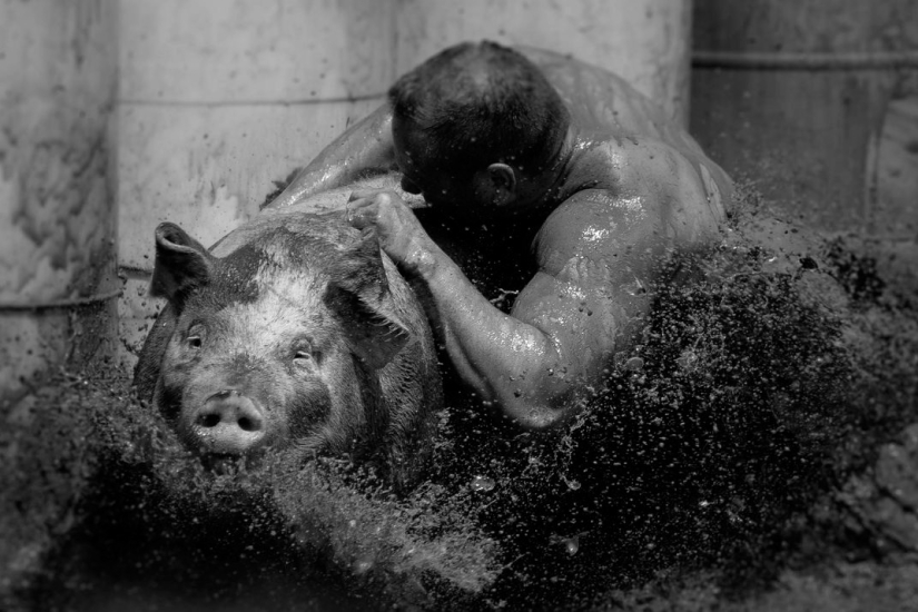 Finalistas Concurso de Fotografía Smithsonian 2016 Finalistas Concurso de Fotografía Smithsonian 2016