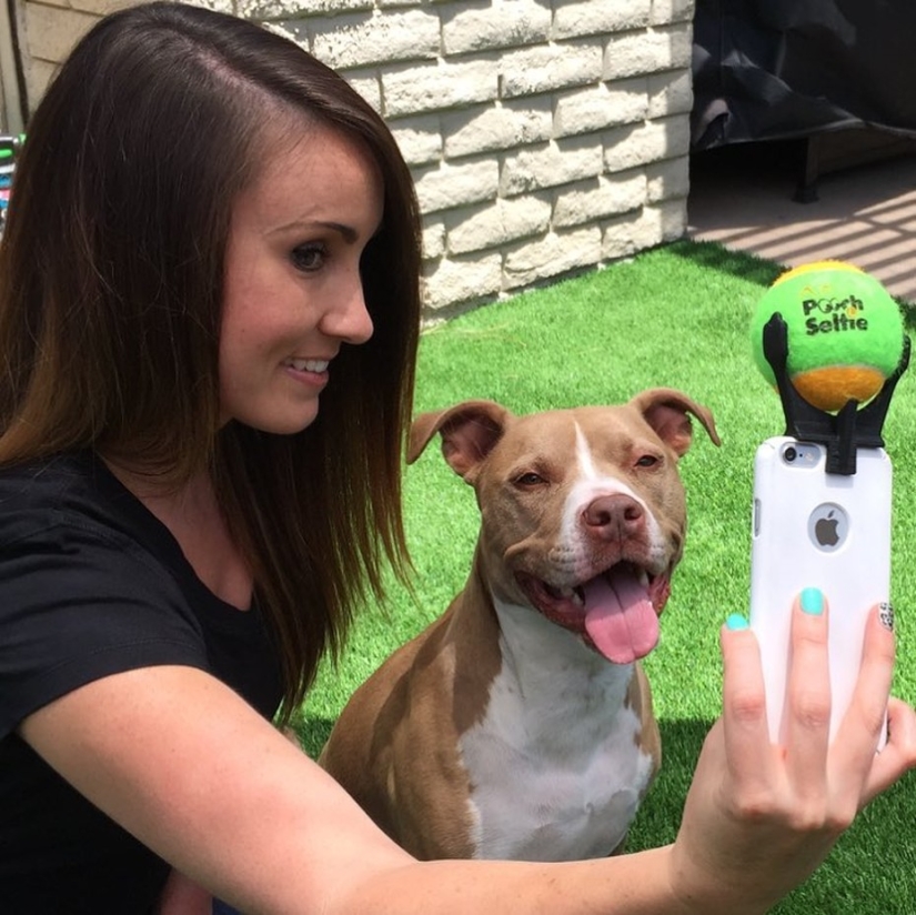 ¡Finalmente, se ha inventado un dispositivo para selfies perfectos con perros! ¡Finalmente, se ha inventado un dispositivo para selfies perfectos con perros!