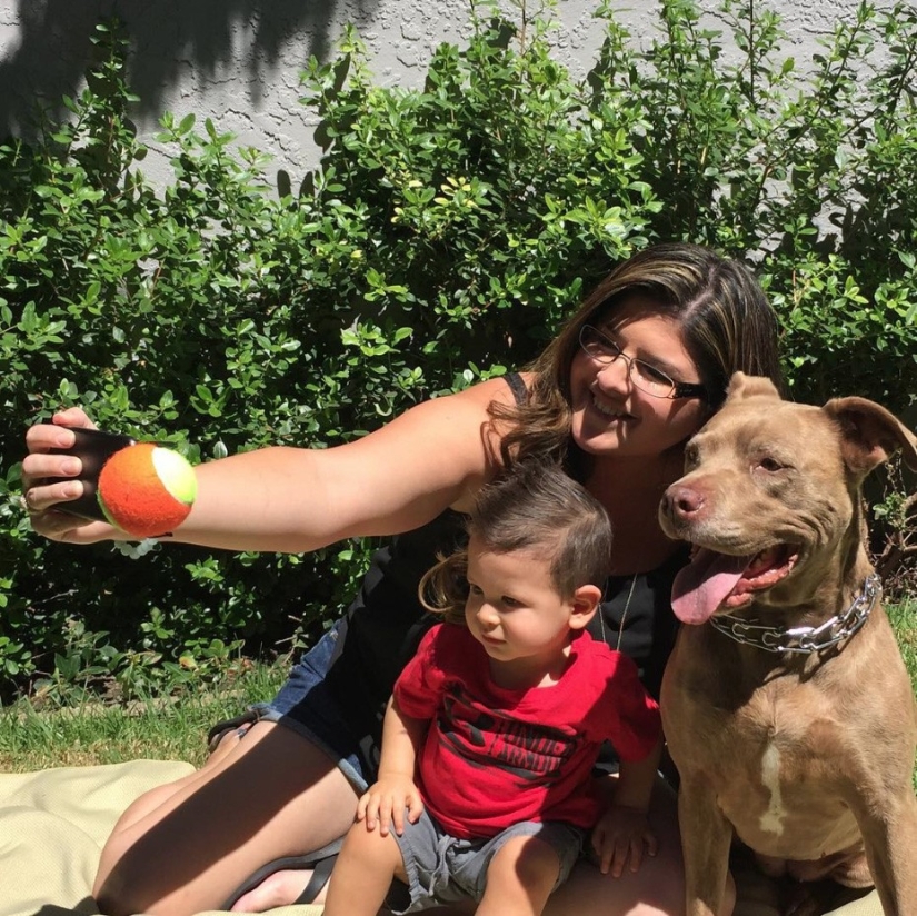 ¡Finalmente, se ha inventado un dispositivo para selfies perfectos con perros! ¡Finalmente, se ha inventado un dispositivo para selfies perfectos con perros!