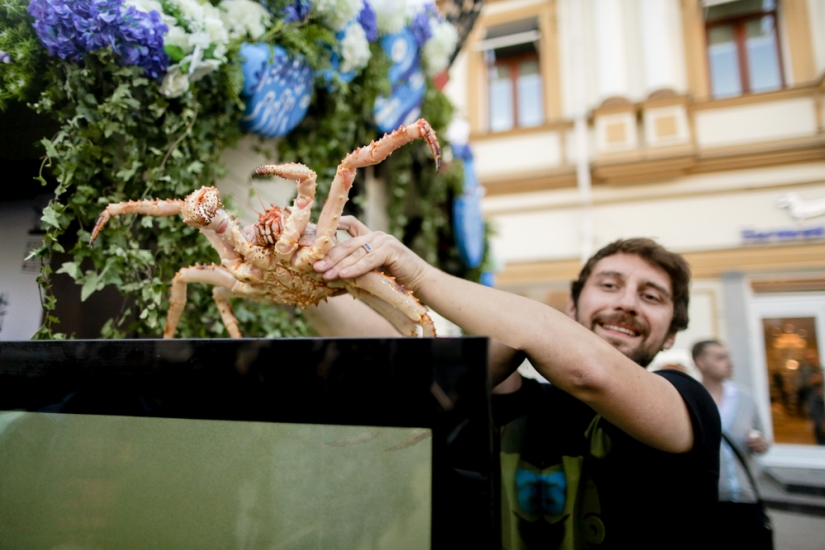 "Fish Week" in Moscow: a paradise for seafood lovers "Fish Week" in Moscow: a paradise for seafood lovers