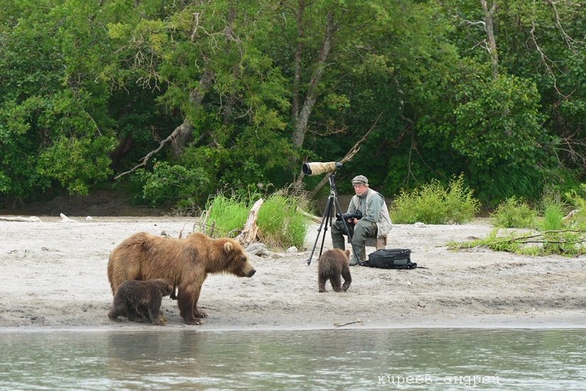 Five minutes in the life of an animal photographer