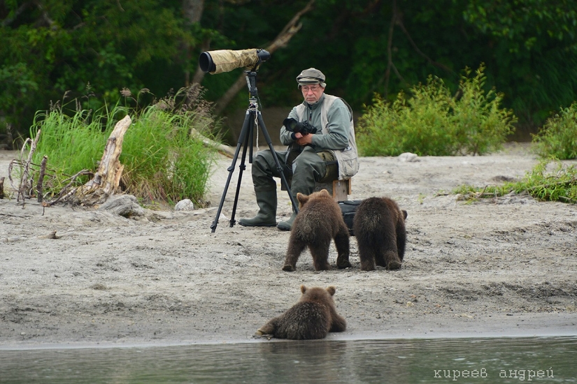 Five minutes in the life of an animal photographer