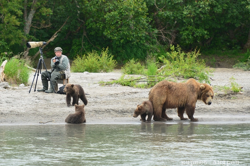 Five minutes in the life of an animal photographer