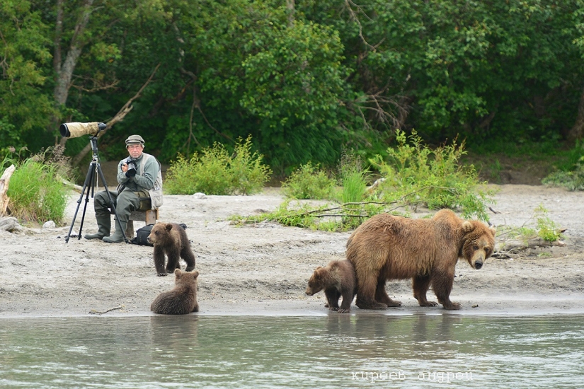 Five minutes in the life of an animal photographer