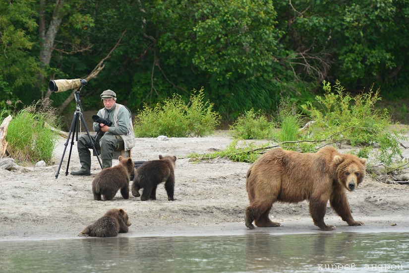 Five minutes in the life of an animal photographer