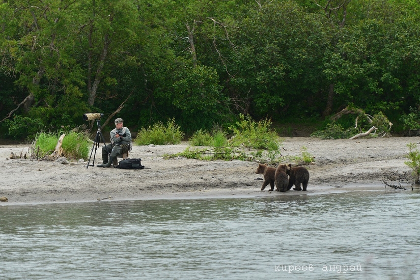Five minutes in the life of an animal photographer