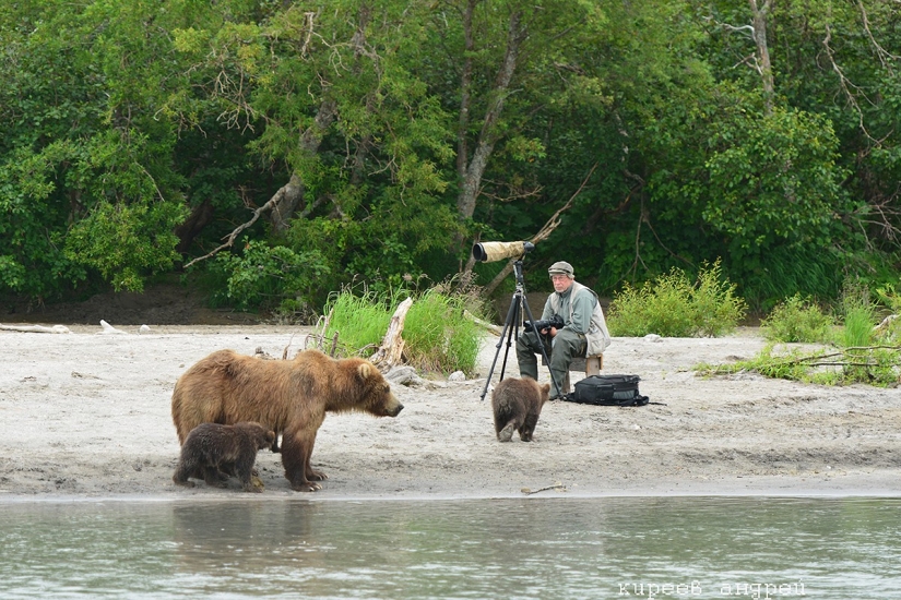 Five minutes in the life of an animal photographer
