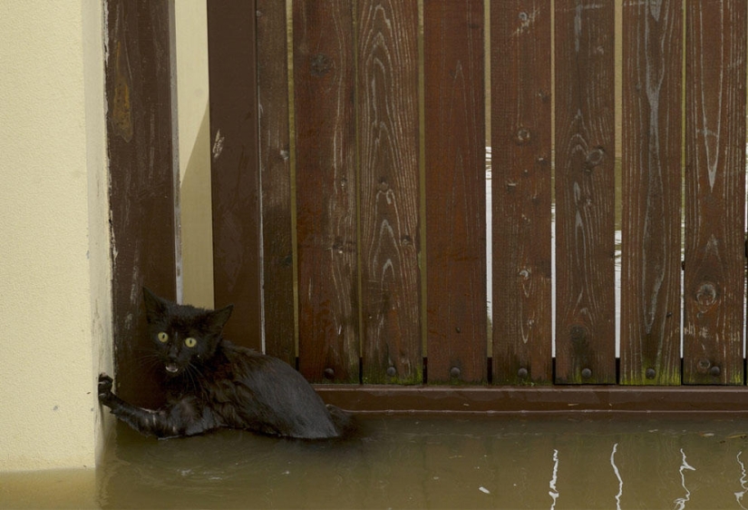 Flooding in Central Europe