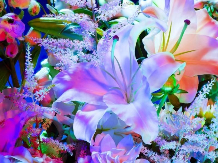 flor electrica flor electrica