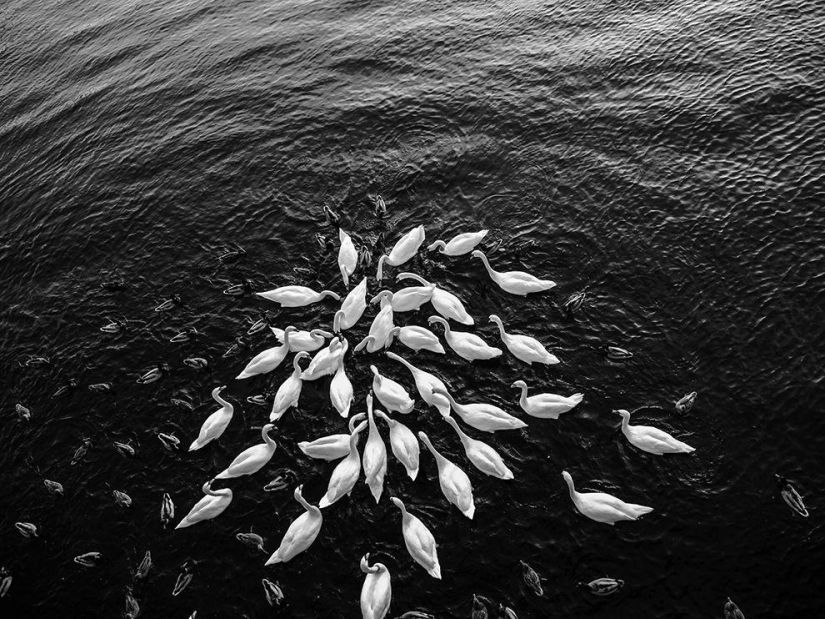 Fondos de escritorio de National Geographic para noviembre de 2013 Fondos de escritorio de National Geographic para noviembre de 2013