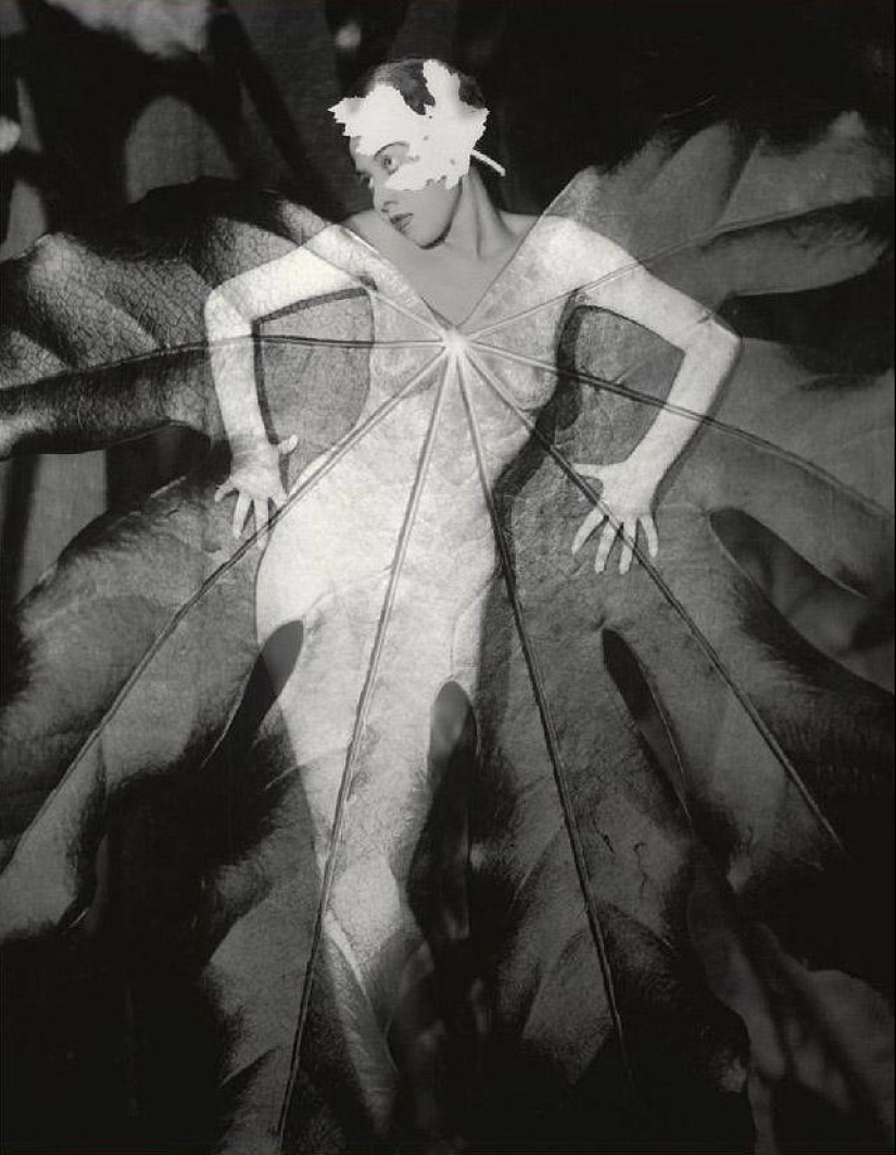 Formas sorprendentes en las fotografías de Heinz Hayek-Halke Formas sorprendentes en las fotografías de Heinz Hayek-Halke