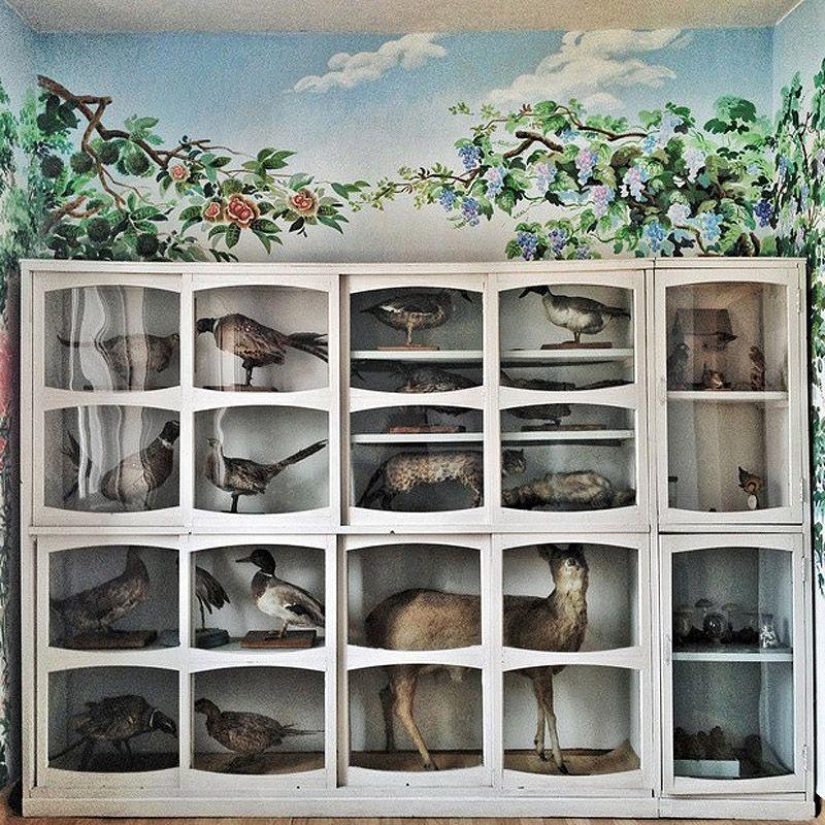 Fotógrafo del año de Instagram de TIME otorgado a bloguera de Corea del Norte