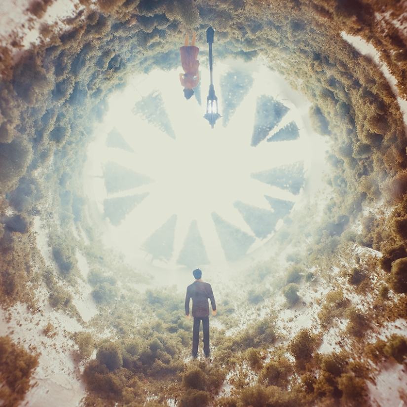 Fotógrafo egipcio fotografía vida salvaje desde la comodidad de su habitación Fotógrafo egipcio fotografía vida salvaje desde la comodidad de su habitación