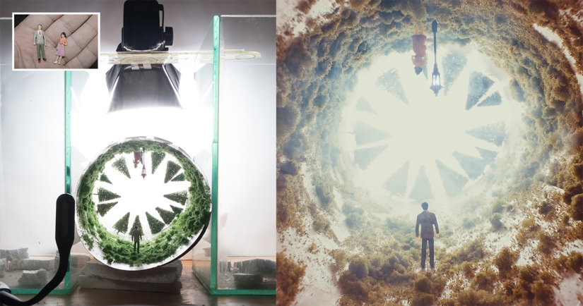 Fotógrafo egipcio fotografía vida salvaje desde la comodidad de su habitación Fotógrafo egipcio fotografía vida salvaje desde la comodidad de su habitación