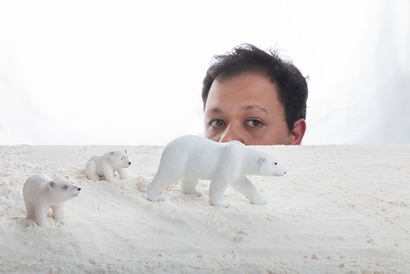 Fotógrafo egipcio fotografía vida salvaje desde la comodidad de su habitación Fotógrafo egipcio fotografía vida salvaje desde la comodidad de su habitación