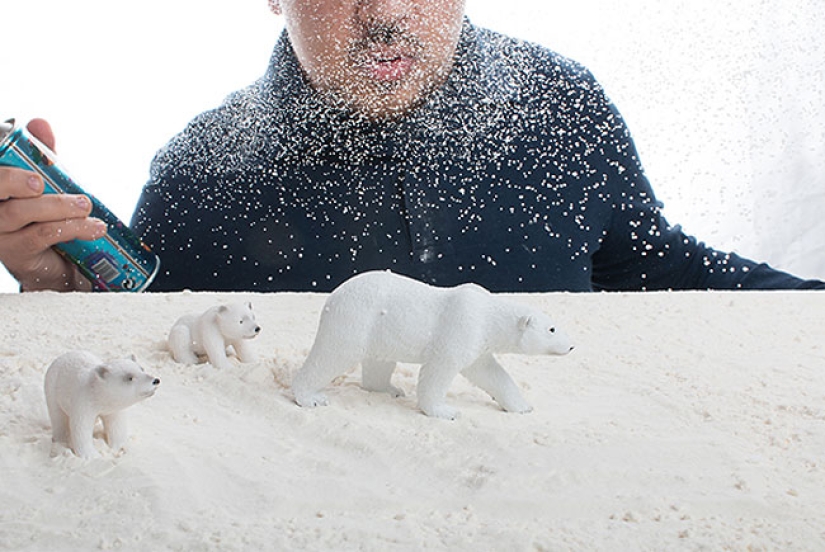 Fotógrafo egipcio fotografía vida salvaje desde la comodidad de su habitación Fotógrafo egipcio fotografía vida salvaje desde la comodidad de su habitación