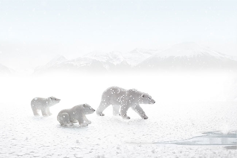 Fotógrafo egipcio fotografía vida salvaje desde la comodidad de su habitación Fotógrafo egipcio fotografía vida salvaje desde la comodidad de su habitación