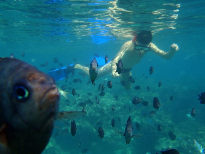 Fotobombas y fotobombas Fotobombas y fotobombas