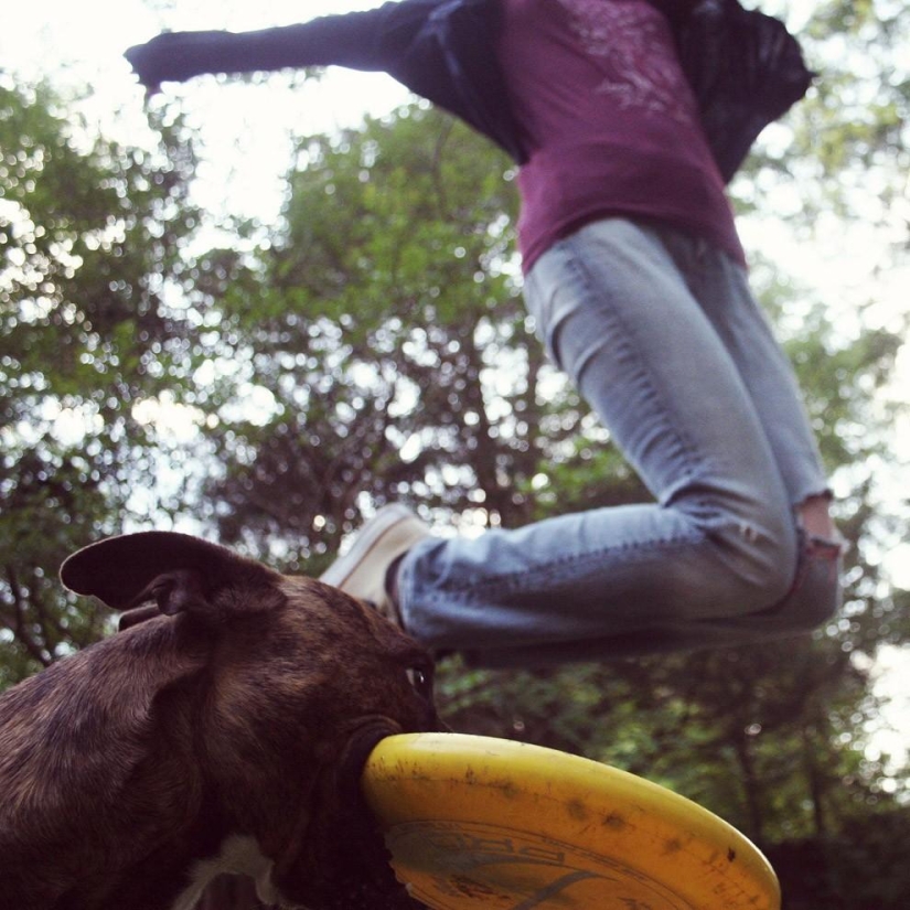 Fotobombas y fotobombas Fotobombas y fotobombas