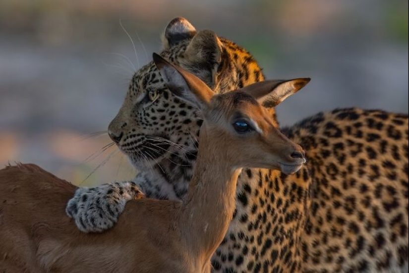 Fotografía poderosa: 10 fotografías ganadoras de los premios internacionales de fotografía de Siena 2023 Fotografía poderosa: 10 fotografías ganadoras de los premios internacionales de fotografía de Siena 2023