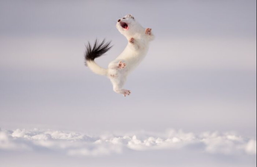 Fotografía poderosa: 10 fotografías ganadoras de los premios internacionales de fotografía de Siena 2023 Fotografía poderosa: 10 fotografías ganadoras de los premios internacionales de fotografía de Siena 2023